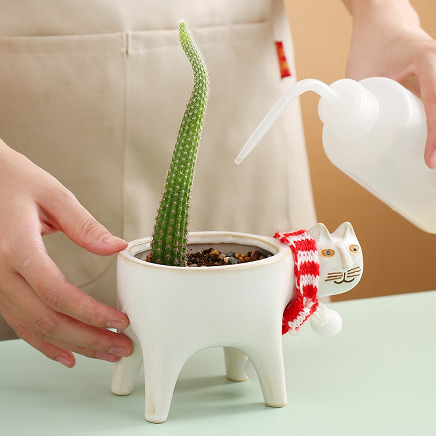 Flowerpot Cute Cat Ceramic Flower Pot Cat Succulent Cactus Mini Flower Pot Suitable for Home Office Restaurant Decoration Home Garden Decoration