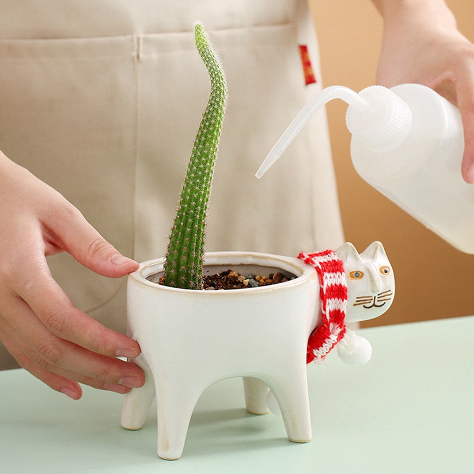 Flowerpot Cute Cat Ceramic Flower Pot Cat Succulent Cactus Mini Flower Pot Suitable for Home Office Restaurant Decoration Home Garden Decoration