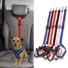 Secure Dog Seatbelt