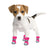 Adorable Doggy Booties for Winter